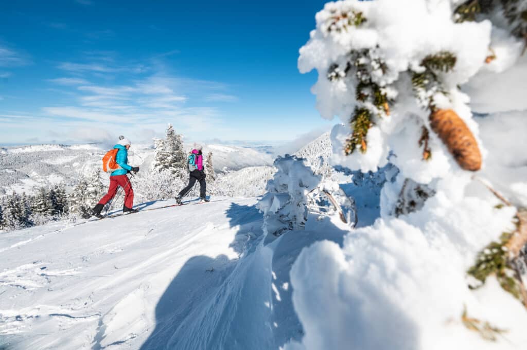 Ski de randonnée nordique Vercors