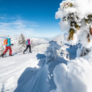 Ski de randonnée nordique Vercors